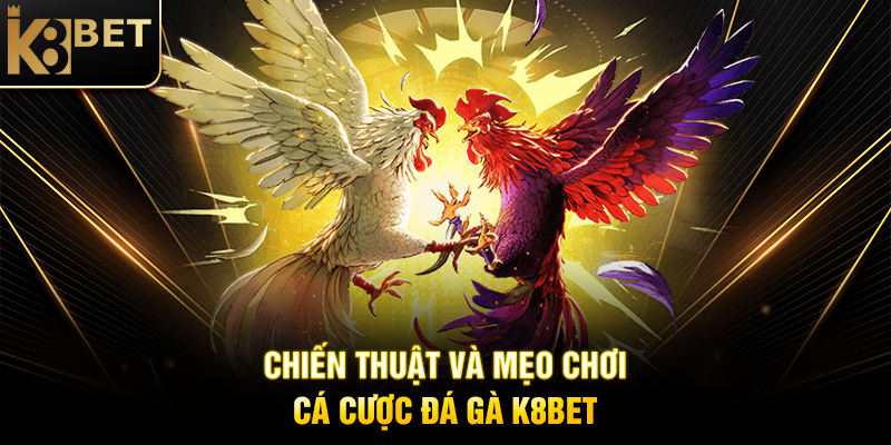 Chiến Thuật và Mẹo Chơi Cá Cược Đá Gà K8BET