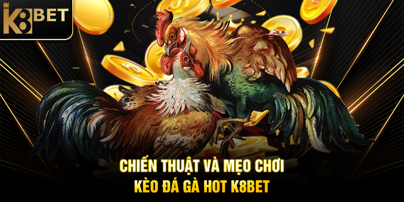 Chiến Thuật và Mẹo Chơi Kèo Đá Gà Hot K8BET