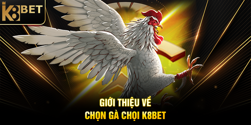 Giới Thiệu Về Chọn Gà Chọi K8BET