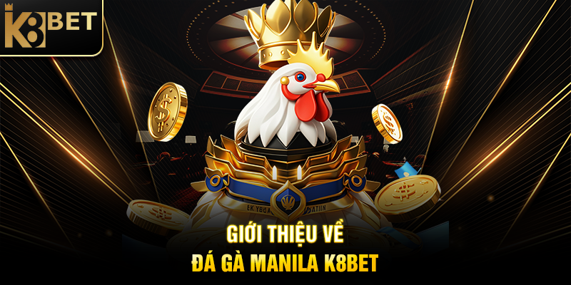 Giới Thiệu Về Đá Gà Manila K8BET