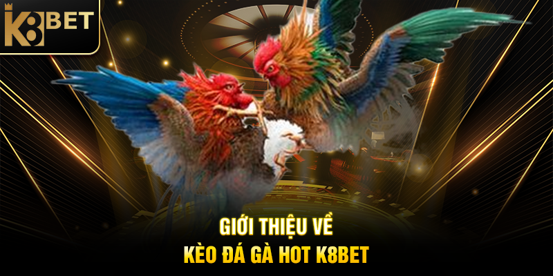 Giới Thiệu Về Kèo Đá Gà Hot K8BET