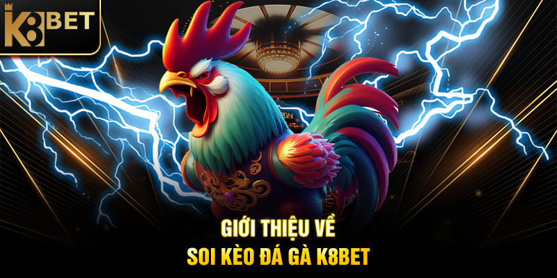 Giới Thiệu Về Soi Kèo Đá Gà K8BET