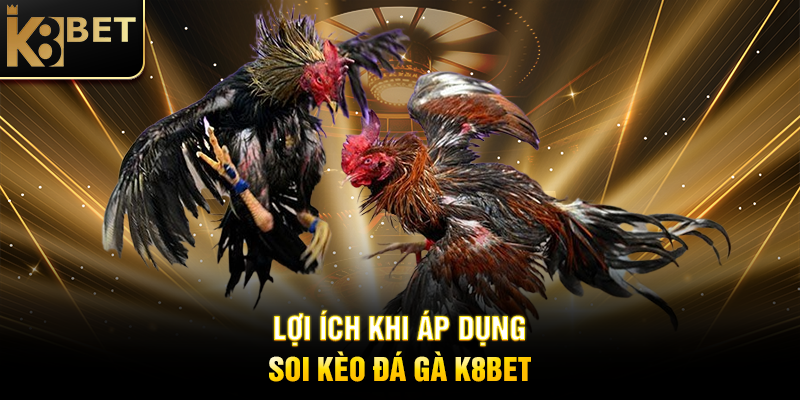 Lợi Ích Khi Áp Dụng Soi Kèo Đá Gà K8BET