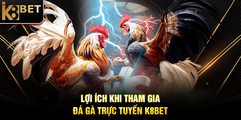 Lợi Ích Khi Tham Gia Đá Gà Trực Tuyến K8BET