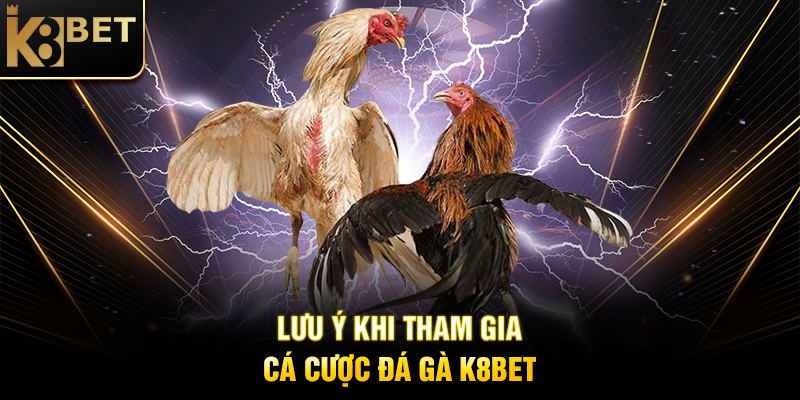 Lưu Ý Khi Tham Gia Cá Cược Đá Gà K8BET