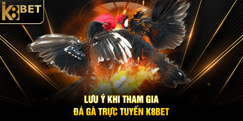 Lưu Ý Khi Tham Gia Đá Gà Trực Tuyến K8BET