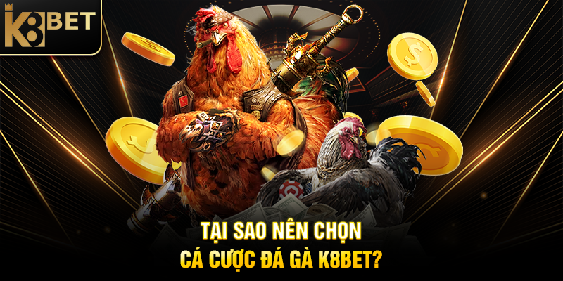 Tại Sao Nên Chọn Cá Cược Đá Gà K8BET?