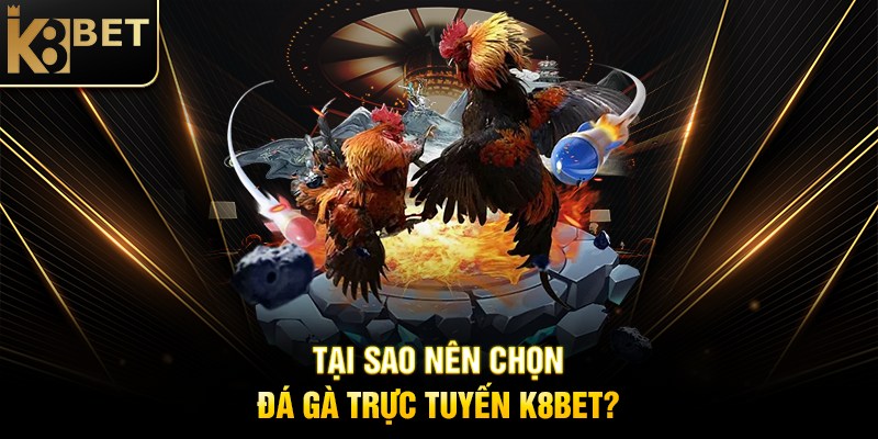 Tại Sao Nên Chọn Đá Gà Trực Tuyến K8BET?