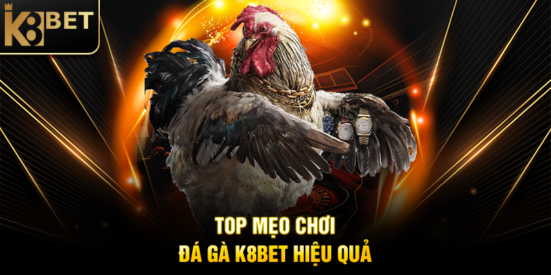Top Mẹo Chơi Đá Gà K8BET Hiệu Quả